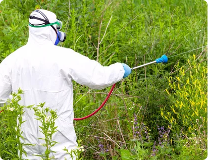 Tick Spraying Image